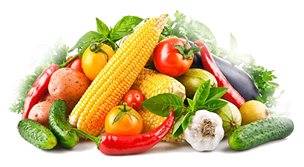 深圳市七畝地農(nóng)產(chǎn)品實(shí)業(yè)有限公司